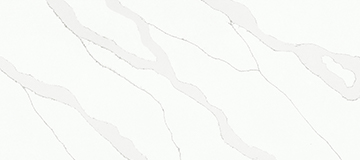 JS 29839 Large Floral White